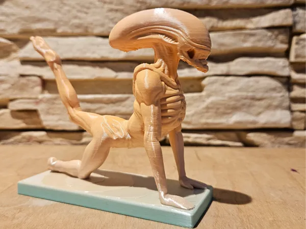 https://makerworld.bblmw.com/makerworld/model/US22244d1951ca79/design/2025-11-11_8180749874de98.jpg