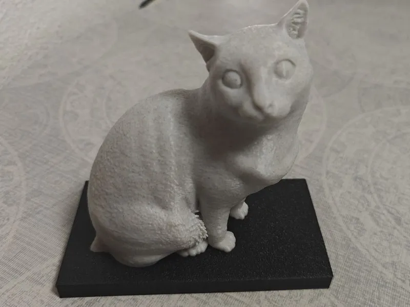 Gato Comun 3D