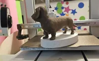 Teckel poil dur — figurine réaliste — photo 4
