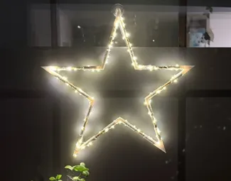 Einzigartige Weihnachtsstern |Unique Christmasstar