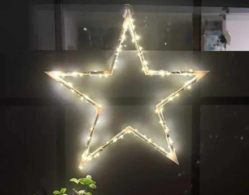 Einzigartige Weihnachtsstern |Unique Christmasstar