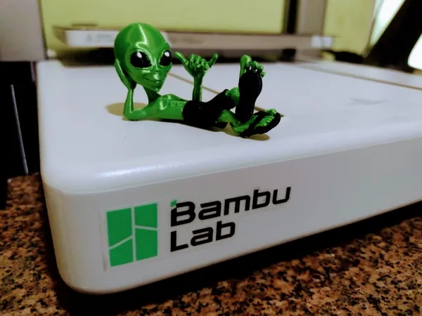 https://makerworld.bblmw.com/makerworld/model/US2230794e4b804f/design/13b1ce97d1c63760.jpeg