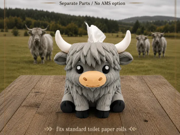 https://makerworld.bblmw.com/makerworld/model/US22328cdd5fc154/design/a88202c31b9a2fef.png