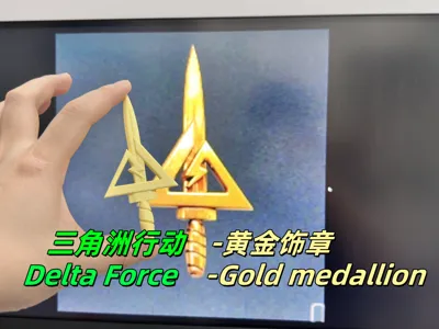 Delta Force Gold Medallion