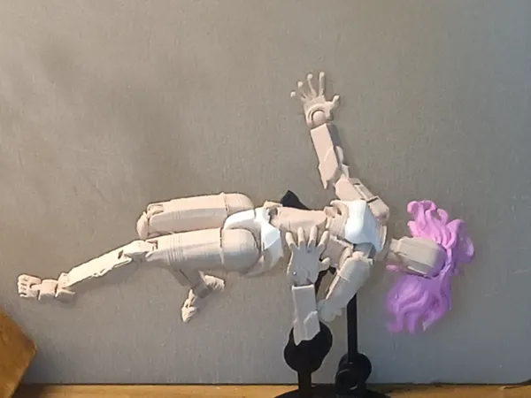 https://makerworld.bblmw.com/makerworld/model/US2233887a87cbf9/design/cacdd9ee9af76671.jpg