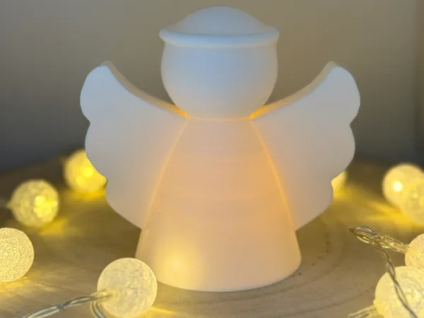 https://makerworld.bblmw.com/makerworld/model/US223f4615595c1b/design/2025-12-08_8808424be16058.jpeg