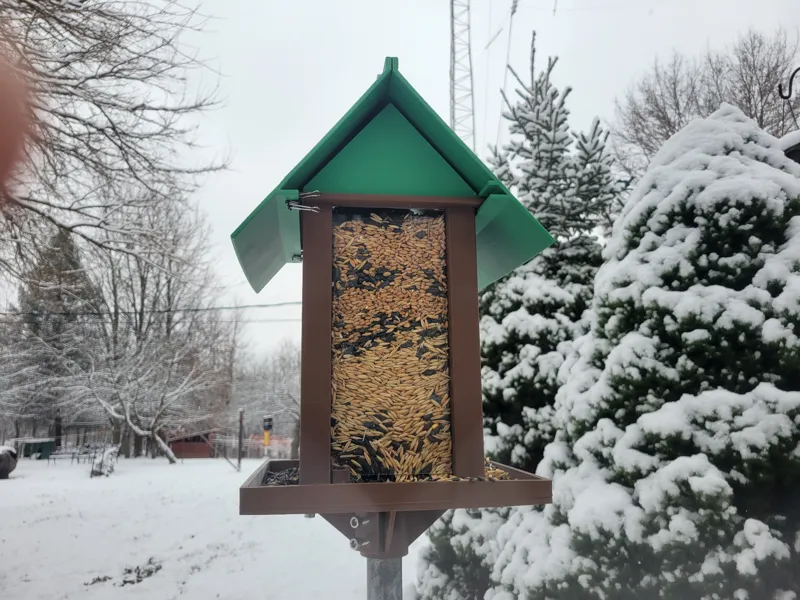 Clear Bird Feeder - Pole Mount (or not)