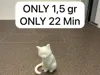 0.18mm layer, 2 walls, 15% infill