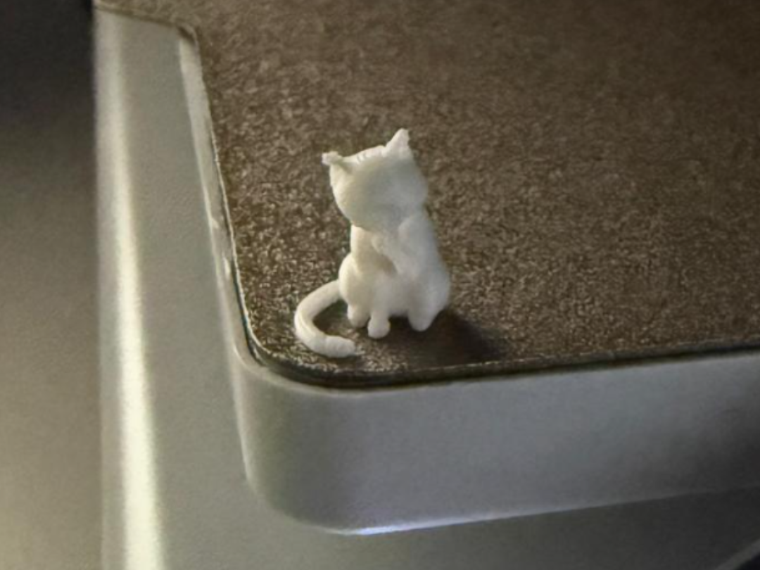 Mini gatto carino