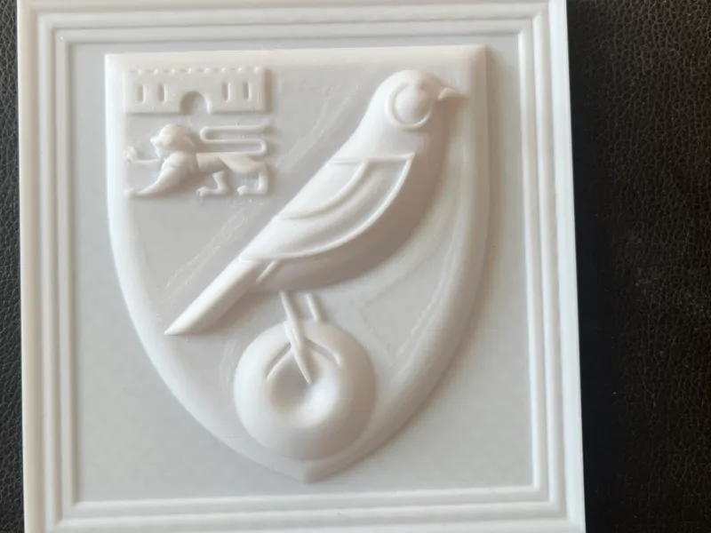 Norwich City Framed Relief