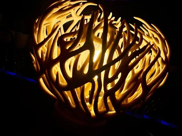 https://makerworld.bblmw.com/makerworld/model/US224724d7da50e2/design/2025-11-22_e1086fe6142778.jpg