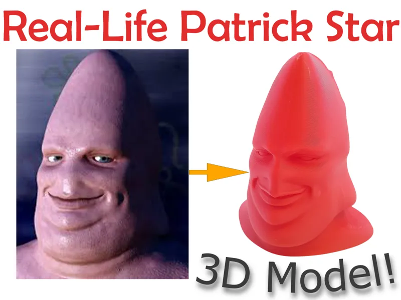 Patrick Star IRL