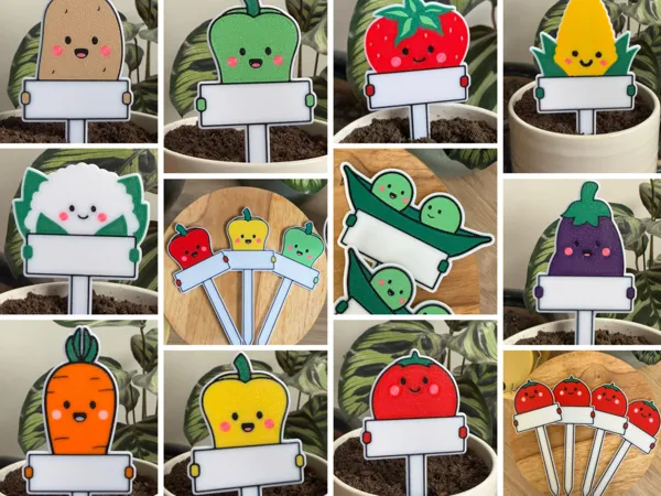 https://makerworld.bblmw.com/makerworld/model/US22488d3f146179/design/2025-04-26_d4107a8fa7b7.png