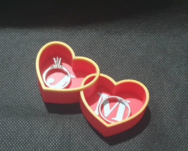 https://makerworld.bblmw.com/makerworld/model/US224b22d155d333/design/2025-01-17_fb023b5d5e903.jpg