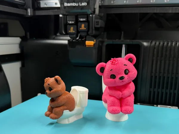 https://makerworld.bblmw.com/makerworld/model/US224da8cf78fe54/design/e01d5872608c3955.jpeg