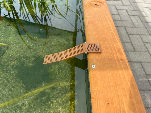 Insektenrampe