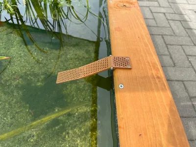 Insect ramp