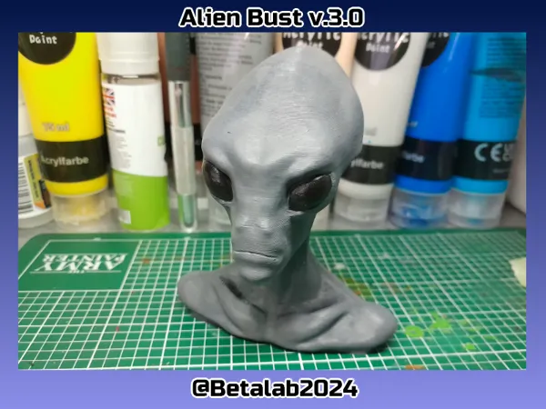 https://makerworld.bblmw.com/makerworld/model/US225915e9b60767/design/2024-08-21_f9aaf295fd6b2.png