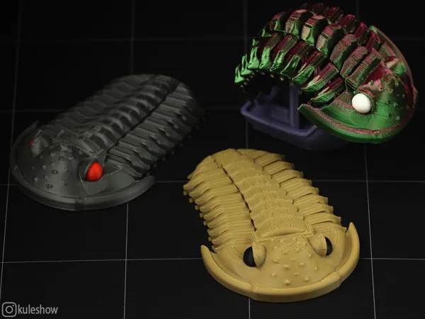 https://makerworld.bblmw.com/makerworld/model/US225f5a0e9460a5/design/2025-03-07_69a2cbc4407d4.jpg