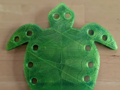 Sea Turtle Floss Organizer by Wawatay3d