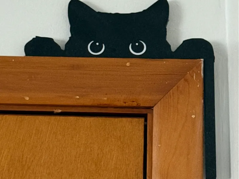 Black Cat Door Corner