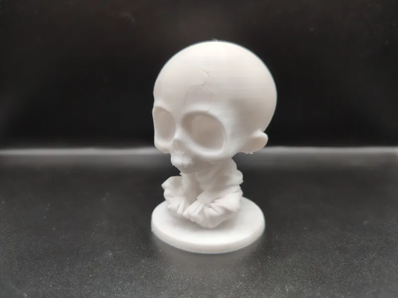 Creepy Monk Skeleton Halloween