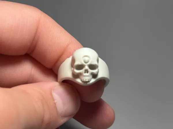 https://makerworld.bblmw.com/makerworld/model/US2277a37bb1b833/design/2025-06-09_ae6668905f35b.jpg