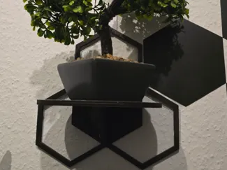 Modern Modular Wall Shelves Hexagon & Round Edit.