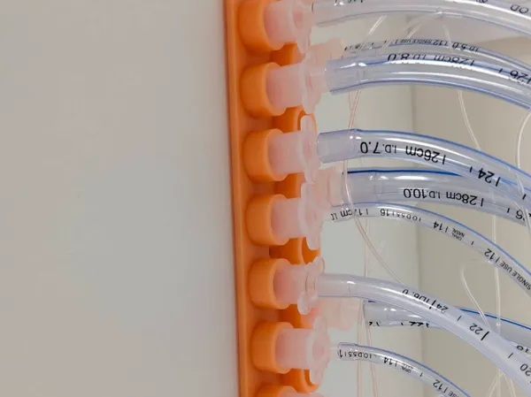 https://makerworld.bblmw.com/makerworld/model/US227dcf3d873994/design/2026-01-19_e5f6be321e838.jpg