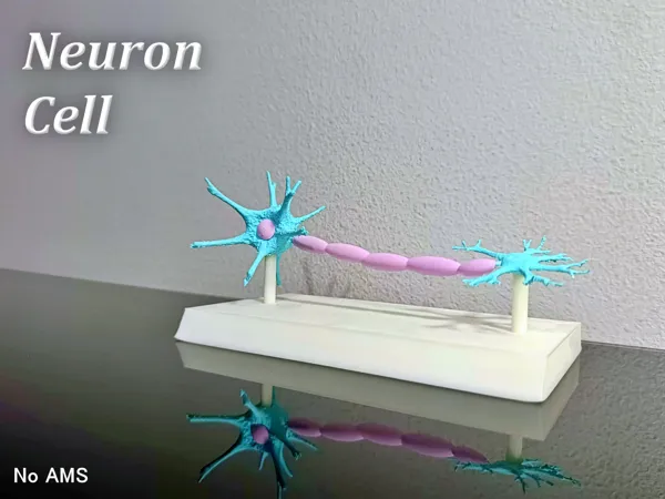 https://makerworld.bblmw.com/makerworld/model/US2280df51294d09/design/2024-08-07_5ef0dfb8594de.jpg
