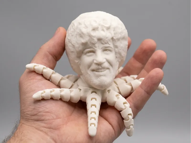 The Bobtopus