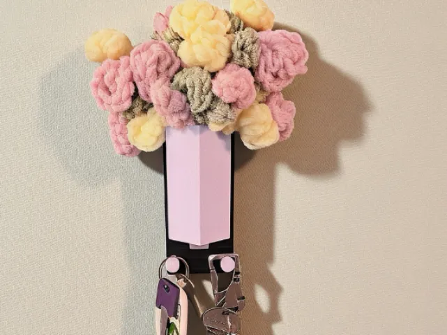 Organizer with storage and hooks, key hanger