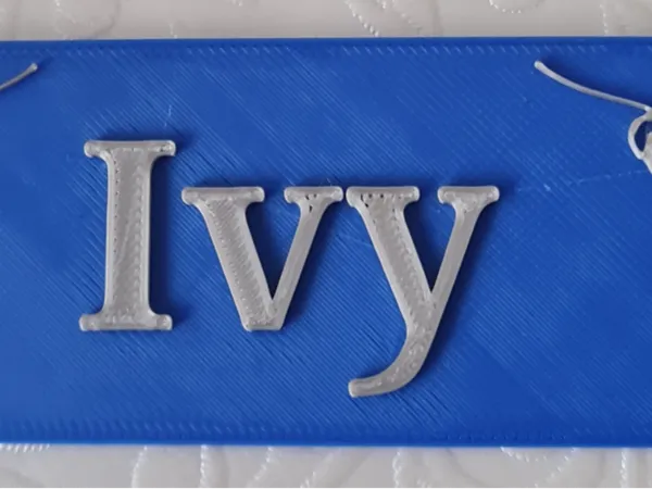 https://makerworld.bblmw.com/makerworld/model/US2289c7b8593d07/design/2025-10-11_0f09a0fc256258.jpg