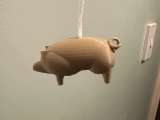Pig pull cord for bathroom