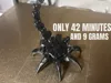 face hugger 