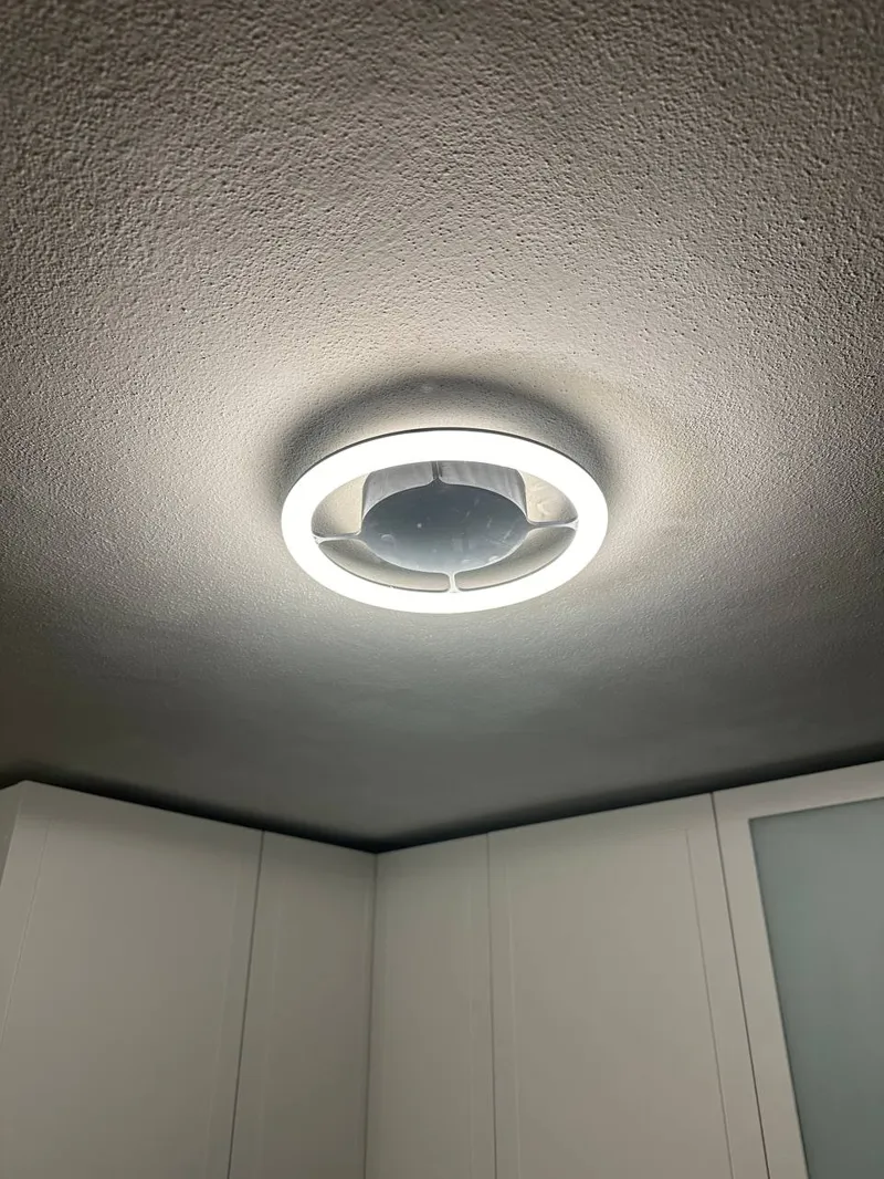 Modern Ceiling LED Lamp