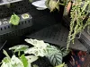 0.2mm layer, 3 walls, 50% infill