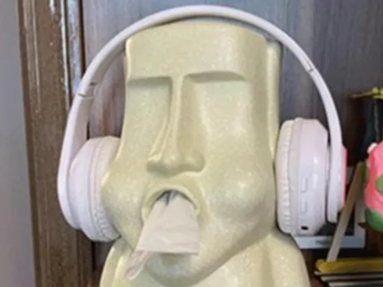 https://makerworld.bblmw.com/makerworld/model/US22a31a0c8787ff/design/2024-07-02_1fb20b97062e7.png