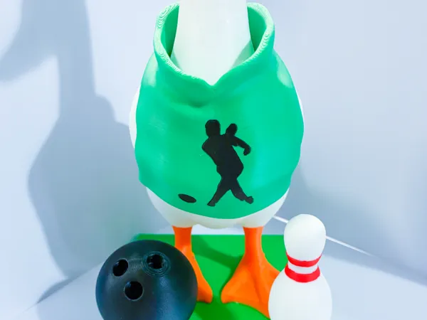 https://makerworld.bblmw.com/makerworld/model/US22a7b455e5b4b9/design/bb2f7897555eeb87.jpg