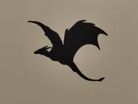 Dragon volant 1 — photo 2