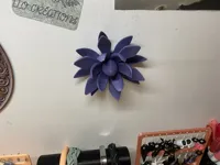 Fleur de lotus — photo 2