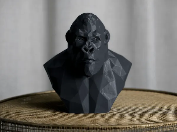 https://makerworld.bblmw.com/makerworld/model/US22ae466cdb844/design/2025-01-20_4a5aa5900e8af.png