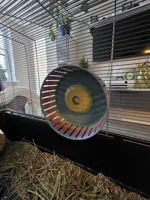 HamsterWheel