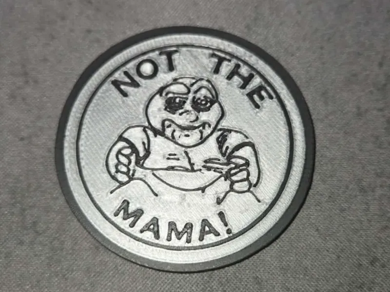 Not the Mama Coin