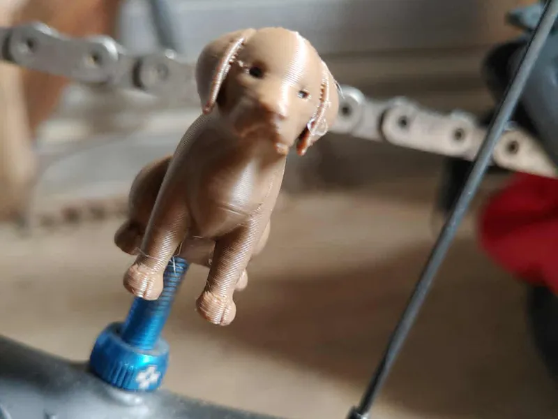 Dog Valve Cap 