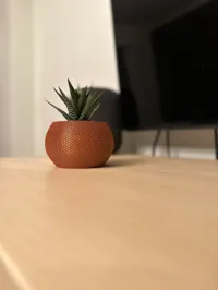 Vase pour cactus — photo 3