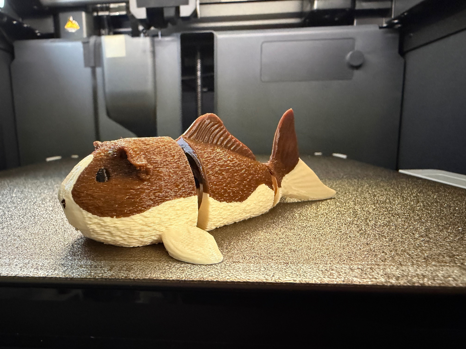 Flexi Meerschweinchen