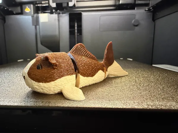 https://makerworld.bblmw.com/makerworld/model/US22b6d23f5f7c03/design/1bdc00073bbdd13b.jpeg
