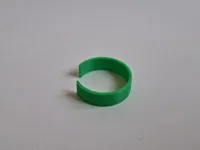 Identification ring V623