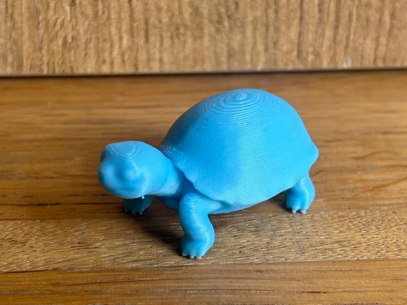 Schildkröte